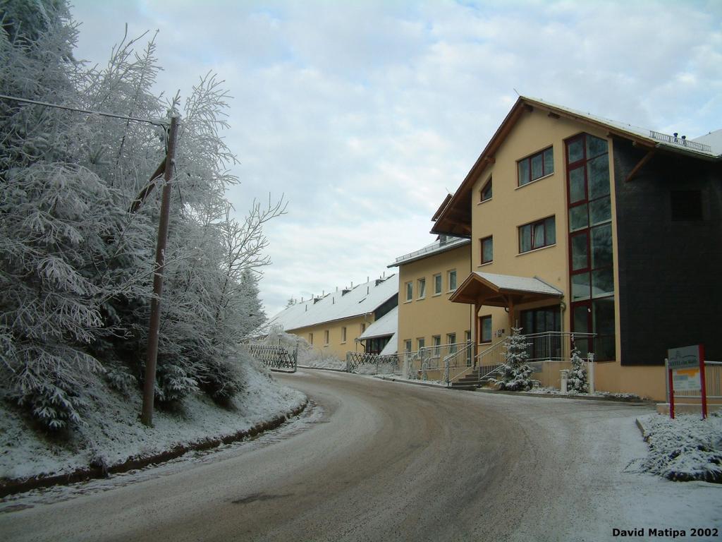 Hotel Am Wald -Garni- Elgersburg Exterior photo